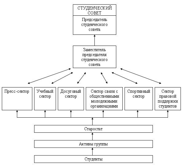 Как проходят в органы самоуправления в колледже. Структура организации колледжа схема. Структура студенческого совета колледжа. Структура студенческого самоуправления в вузе. Схема студенческого самоуправления.